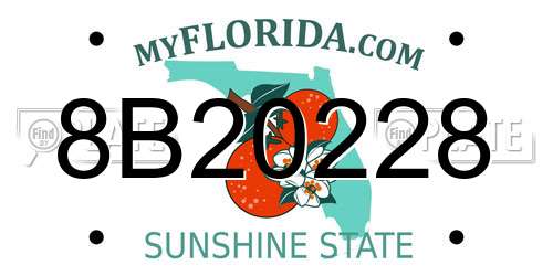 8B20228 Florida License Plate