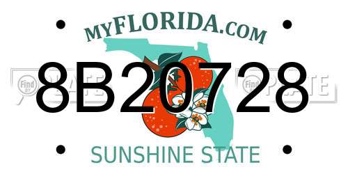 8B20728 Florida License Plate
