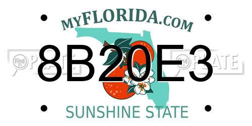 8B20E3 Florida License Plate