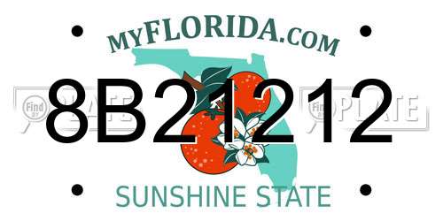 8B21212 Florida License Plate