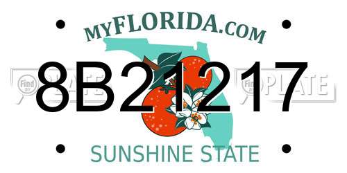 8B21217 Florida License Plate
