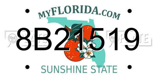 8B21519 Florida License Plate