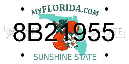 8B21955 Florida License Plate
