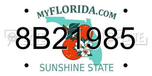 8B21985 Florida License Plate