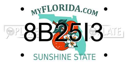 8B25I3 Florida License Plate