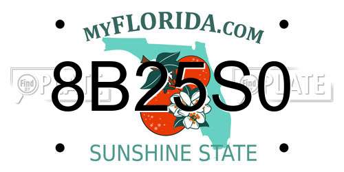 8B25S0 Florida License Plate