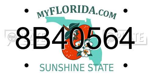 8B40564 Florida License Plate
