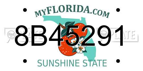 8B45291 Florida License Plate
