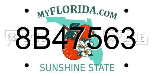 8B47563 Florida License Plate