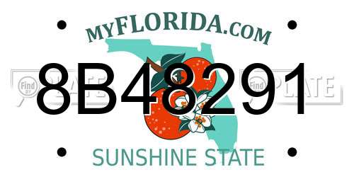 8B48291 Florida License Plate