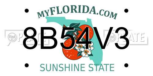 8B54V3 Florida License Plate