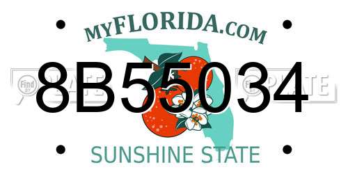 8B55034 Florida License Plate