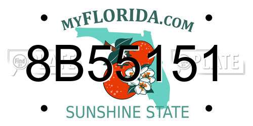 8B55151 Florida License Plate