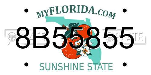 8B55855 Florida License Plate