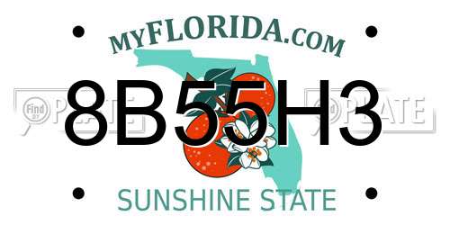 8B55H3 Florida License Plate