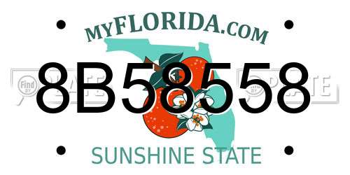 8B58558 Florida License Plate