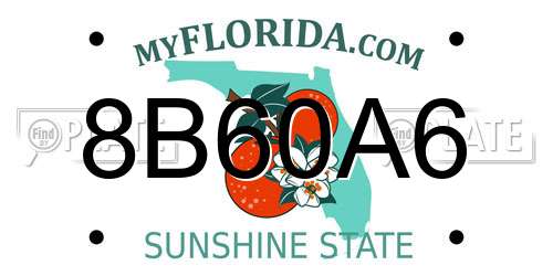 8B60A6 Florida License Plate