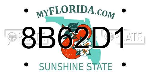 8B62D1 Florida License Plate