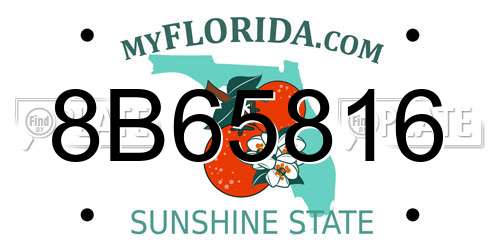 8B65816 Florida License Plate