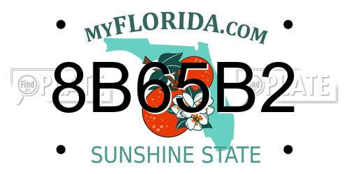 8B65B2 Florida License Plate