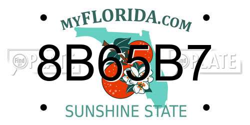 8B65B7 Florida License Plate