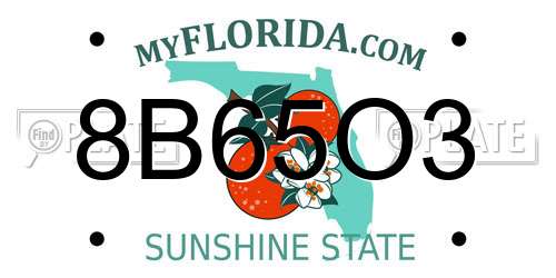 8B65O3 Florida License Plate