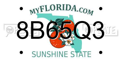 8B65Q3 Florida License Plate