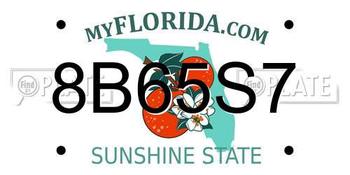 8B65S7 Florida License Plate