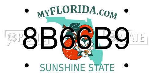 8B66B9 Florida License Plate
