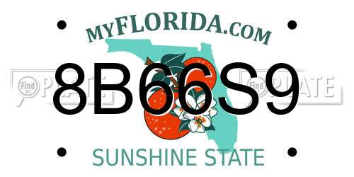 8B66S9 Florida License Plate