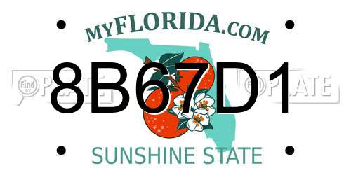 8B67D1 Florida License Plate