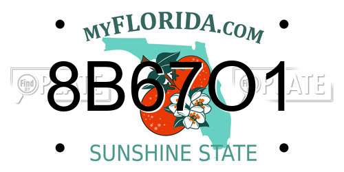 8B67O1 Florida License Plate