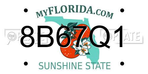 8B67Q1 Florida License Plate
