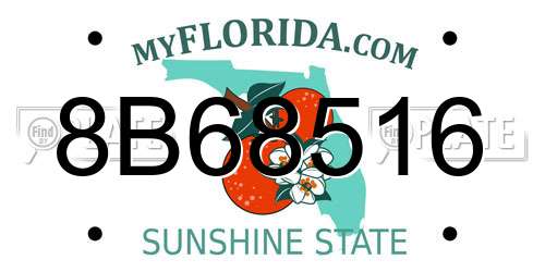 8B68516 Florida License Plate