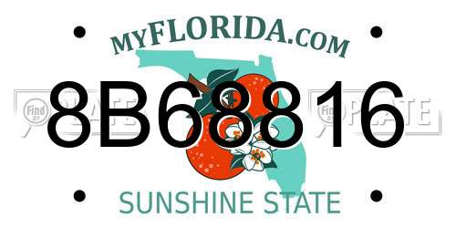 8B68816 Florida License Plate