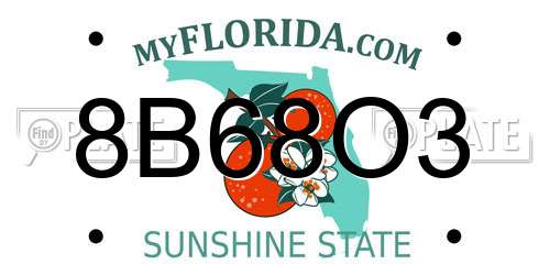 8B68O3 Florida License Plate