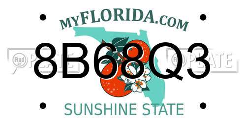 8B68Q3 Florida License Plate