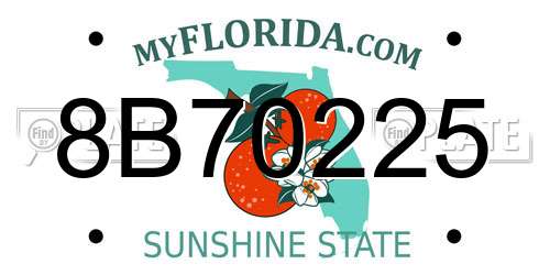 8B70225 Florida License Plate