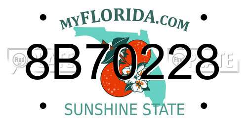 8B70228 Florida License Plate