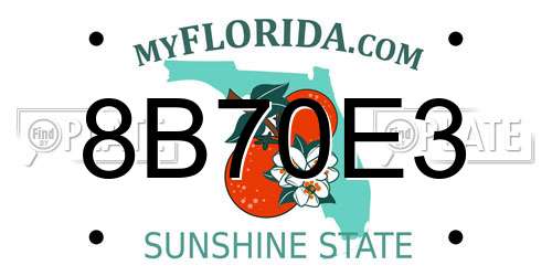 8B70E3 Florida License Plate
