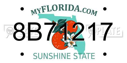 8B71217 Florida License Plate