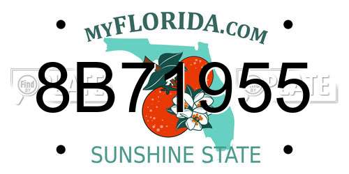 8B71955 Florida License Plate