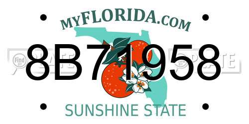 8B71958 Florida License Plate