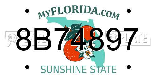 8B74897 Florida License Plate