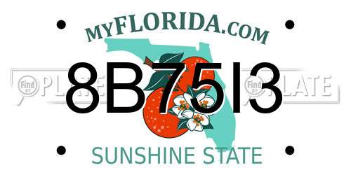 8B75I3 Florida License Plate
