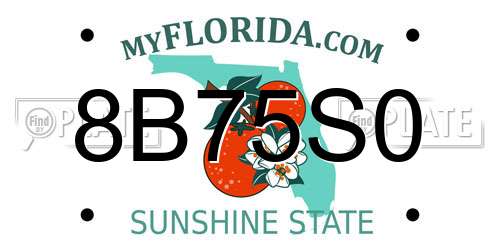 8B75S0 Florida License Plate