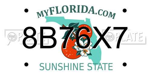 8B76X7 Florida License Plate