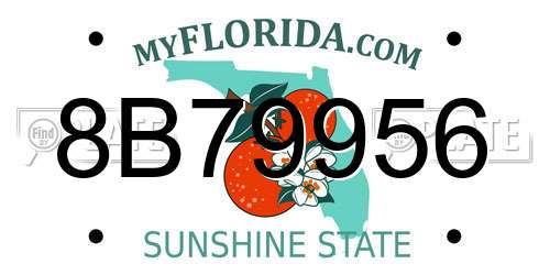 8B79956 Florida License Plate