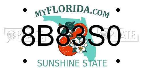8B83S0 Florida License Plate