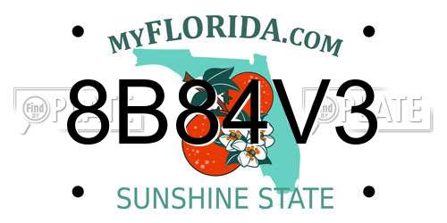 8B84V3 Florida License Plate
